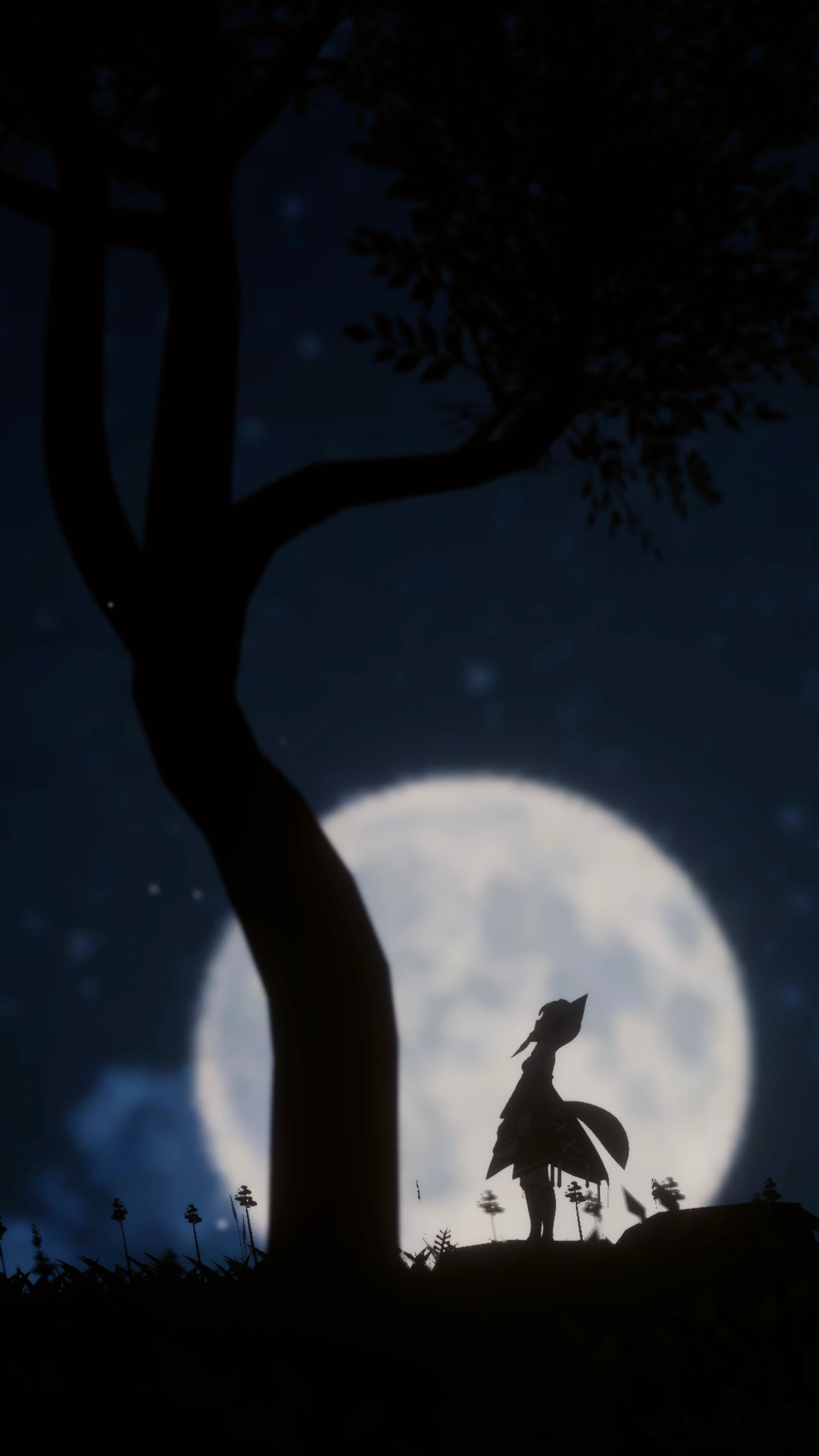 Virtual Photo-1