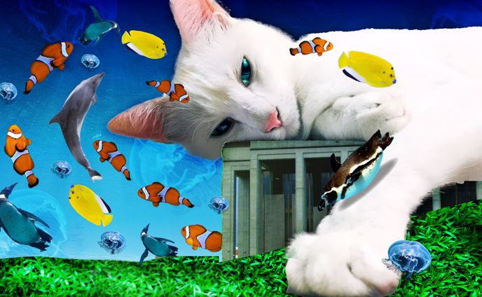 【コラージュ】猫と海