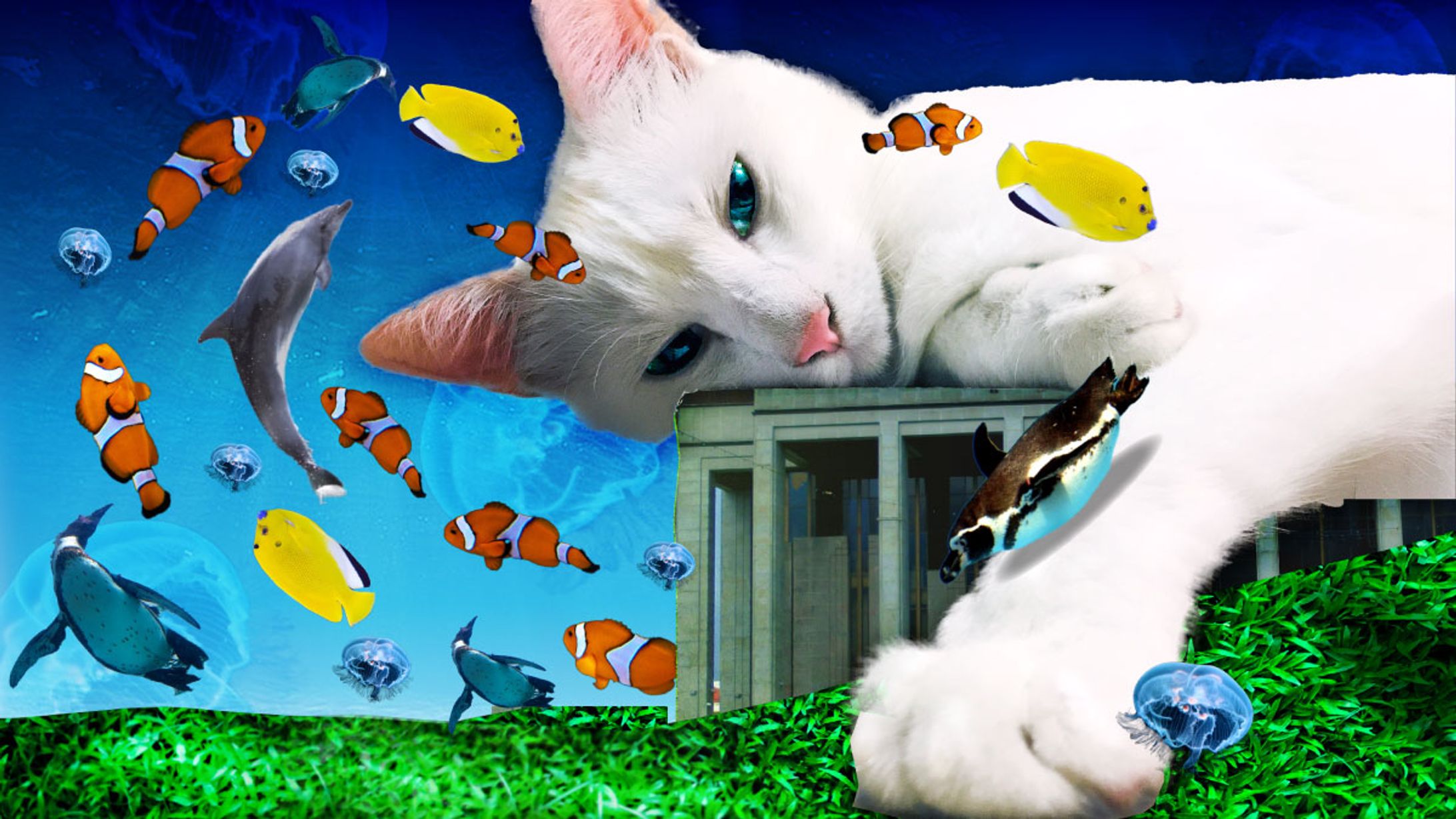 【コラージュ】猫と海-1