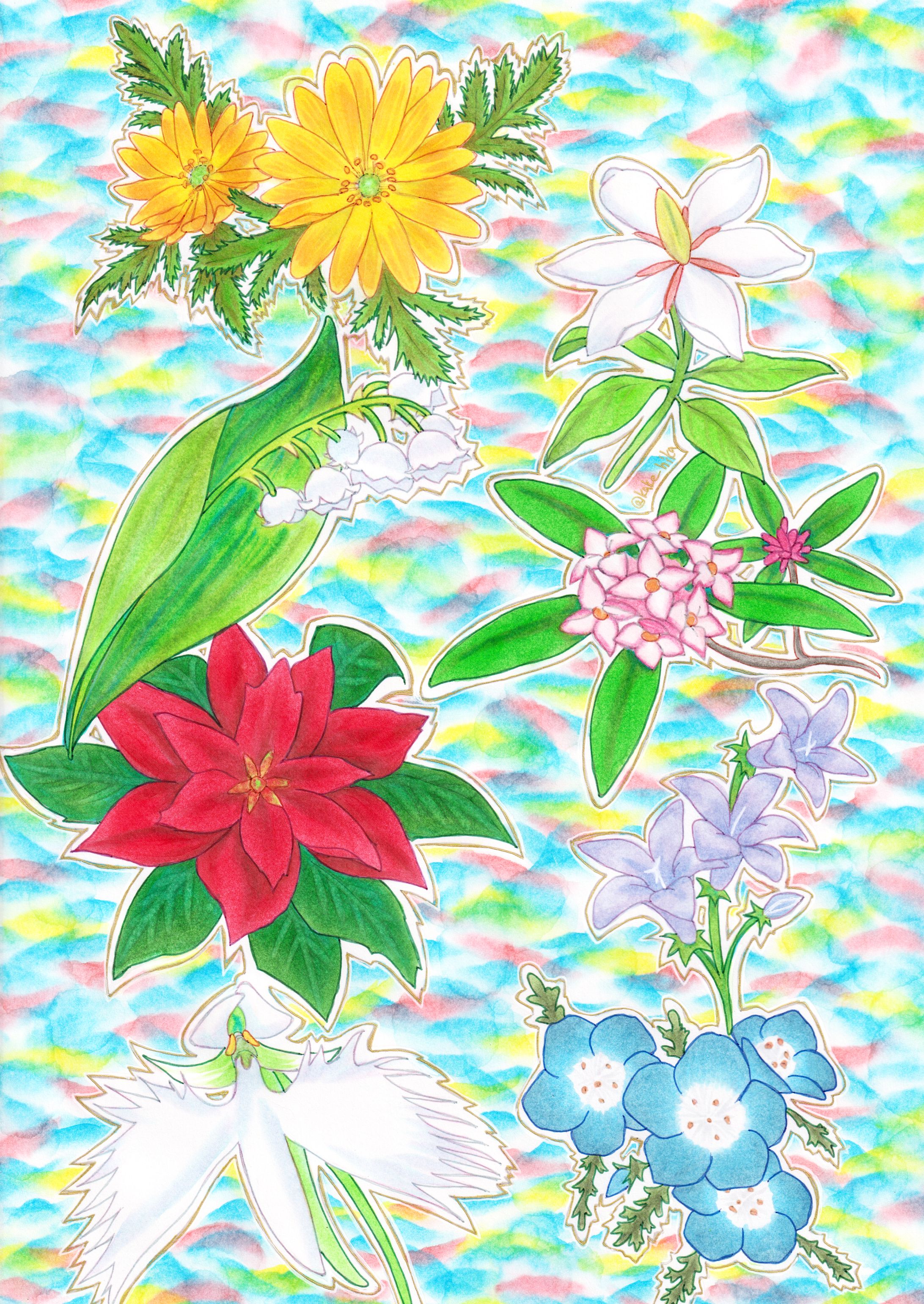 花六種-1