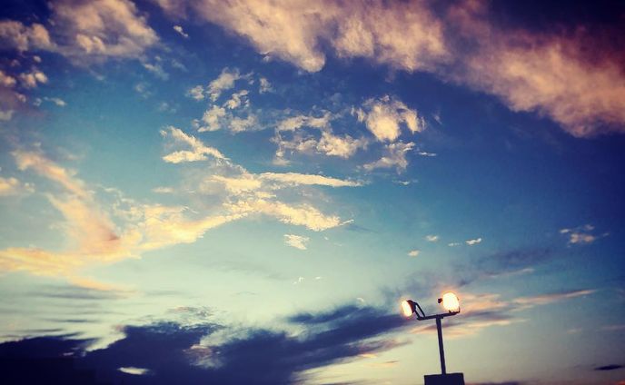 #sky#空#景色#phot#photooftheday #photography #夕焼け空#夕焼け雲
やっぱインスタフィルターがよきだよなあ。最近といえば20作記念の諸々でライダー熱に飲まれ過ぎてる。そしてやっぱ同士がいない。後もう直ぐキンハ3が出る事でわしが生き長らえられる。