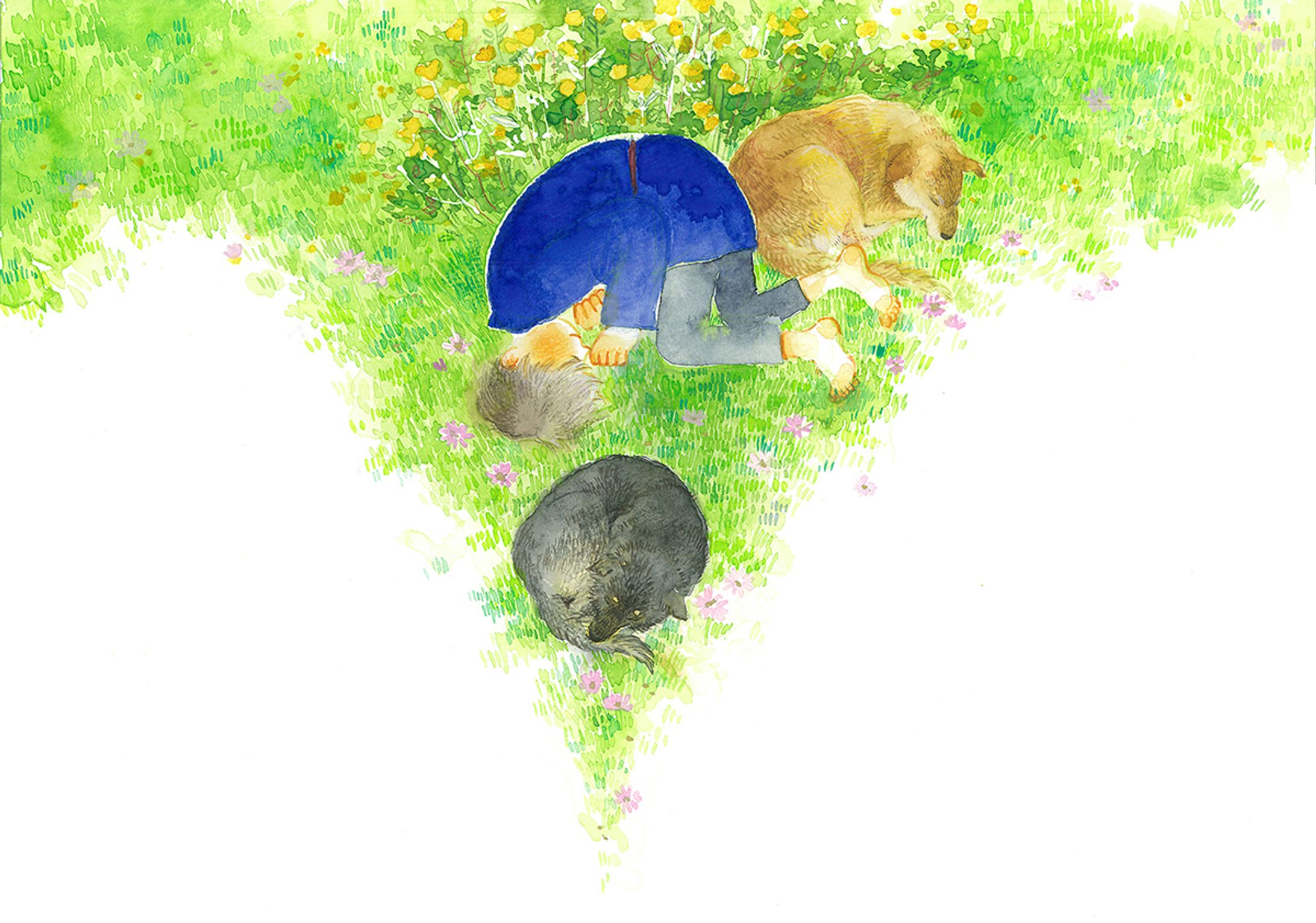 あおとみどりの国-1