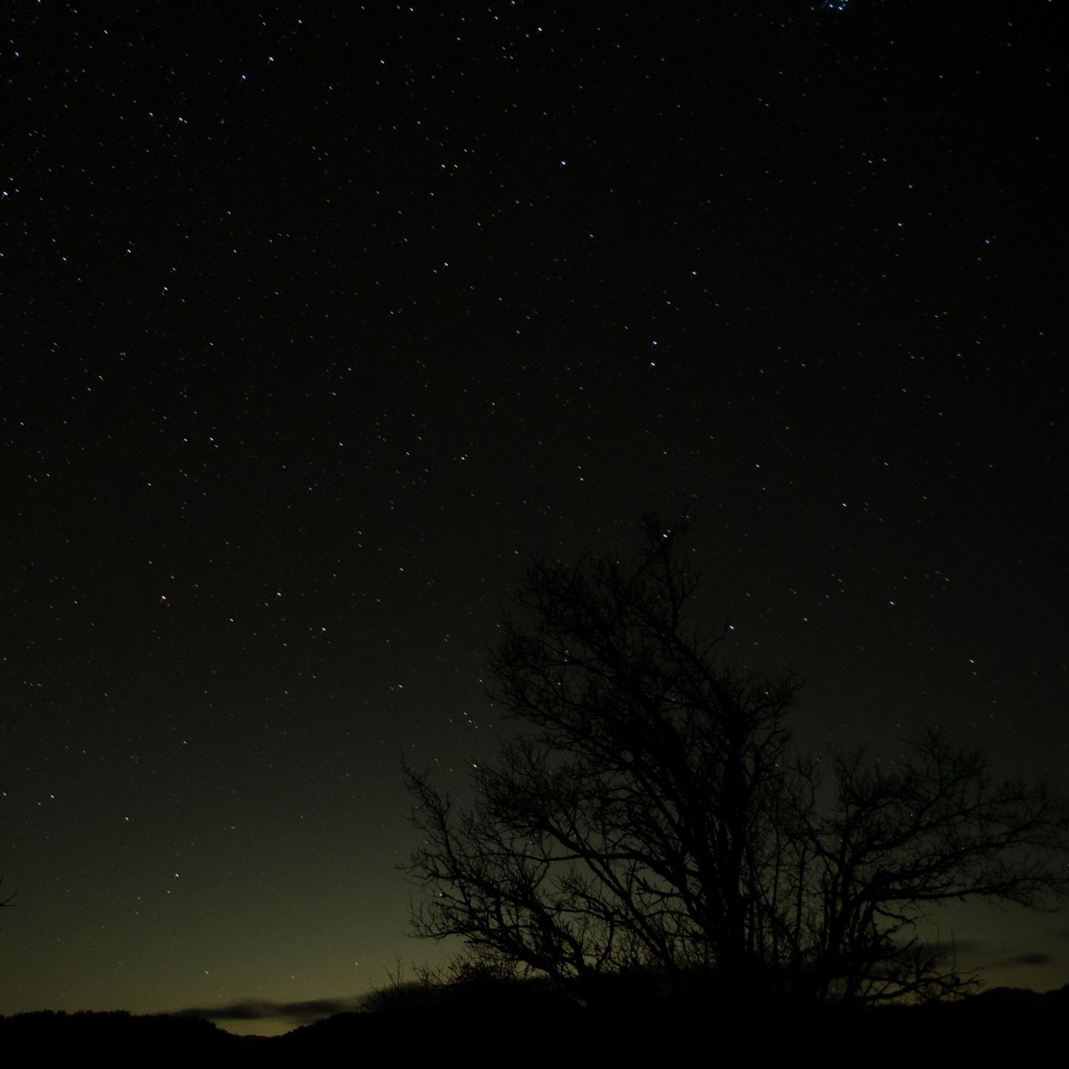 #イマソラ #空 #星 #星空 #天体観測 #星景 #星空撮影 #星景写真 #ファインダー越しの私の世界 #空が好きな人と繋ながりたい #写真が好きな人と繋ながりたい #カメラが好きな人と繋ながりたい #信州 #長野 #長野県 #sky #naganounset_pics #view #views #viewpoint #star #starrynight #starrysky #nightscape #stars #photography #nightsky #nightphotography #s_shot #nagano #NAGANO-1