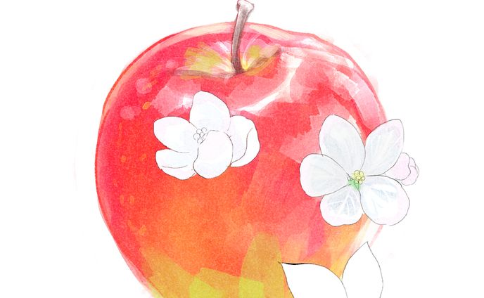植物　イラスト