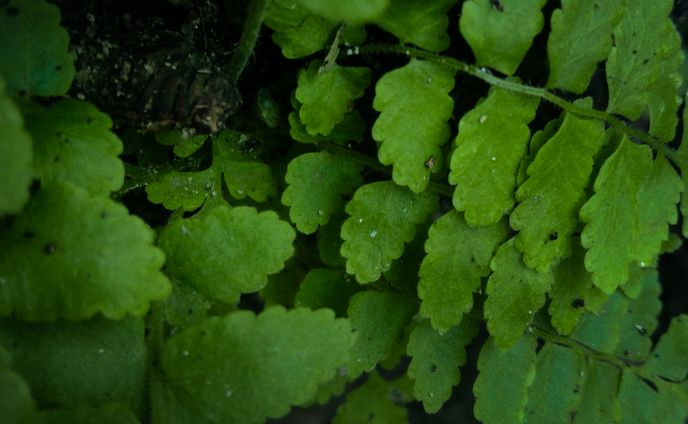 The art of photography 