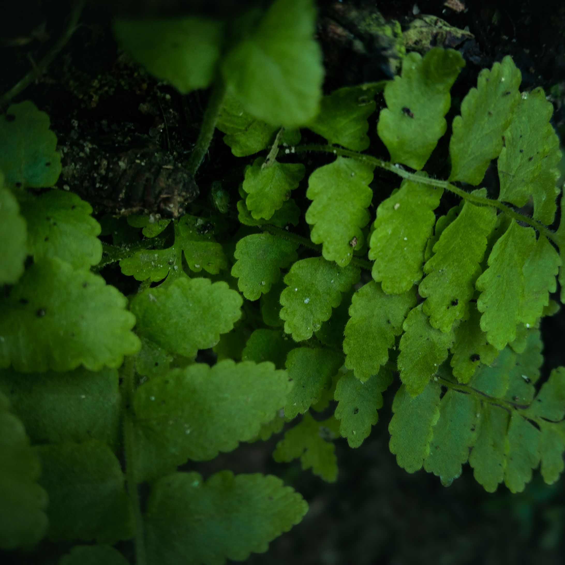 The art of photography -1