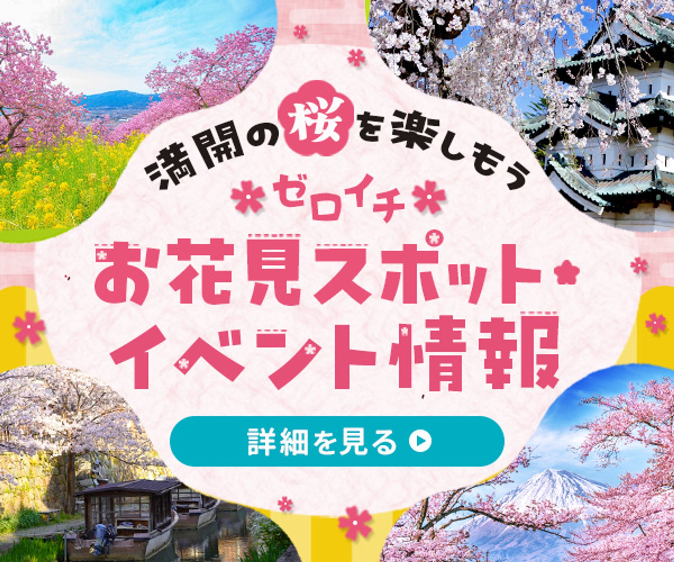 バナー|お花見イベント情報-1