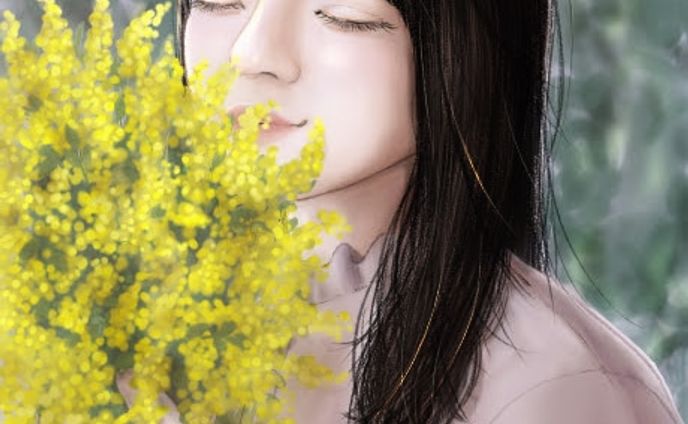 mimosa