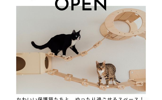 保護ネコカフェ　レシピ　インスタグラム投稿