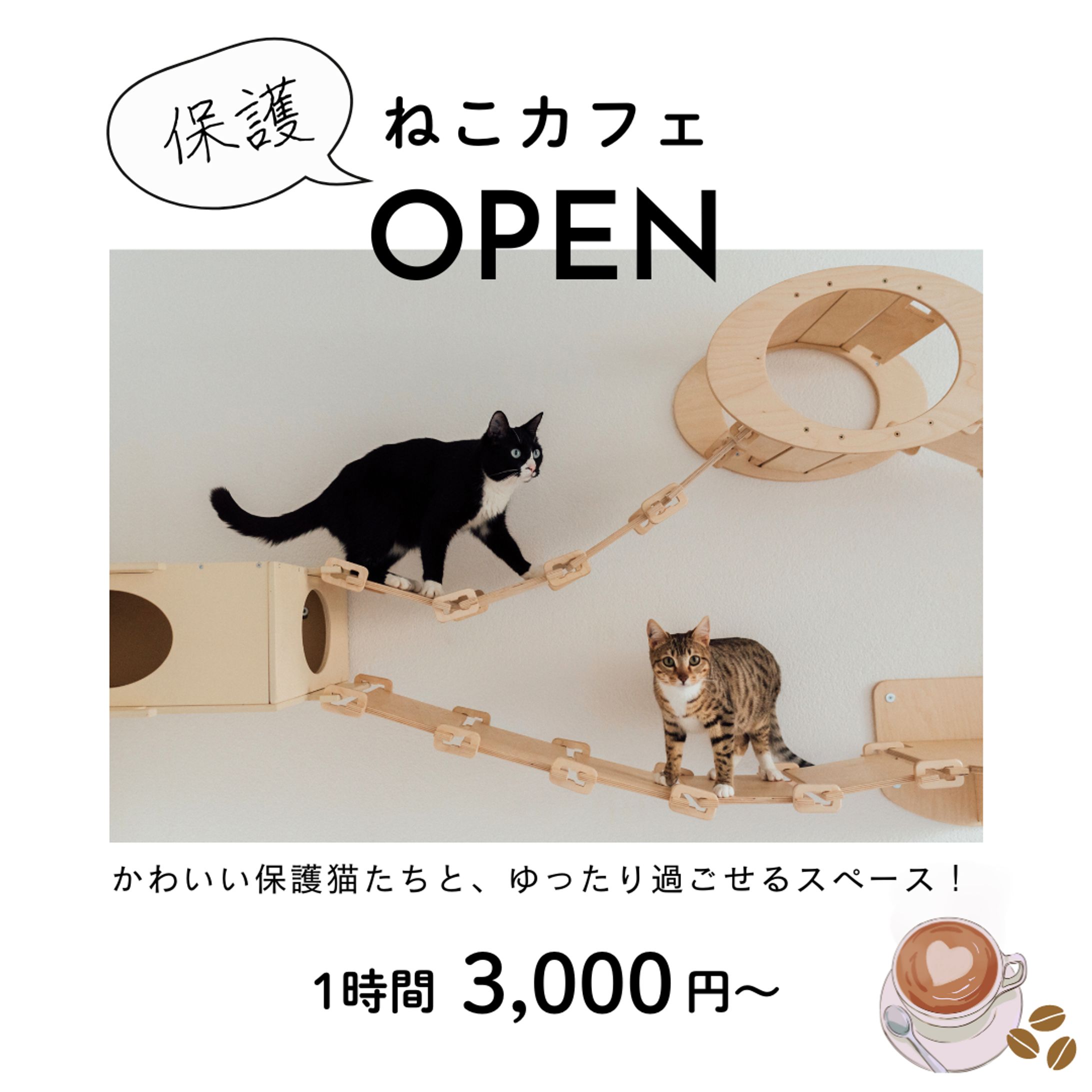 保護ネコカフェ　レシピ　インスタグラム投稿-1