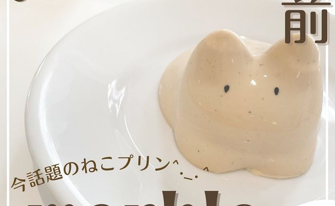 流行りのねこプリン『marble』 
他にもオススメがあればコメントで教えてください🙇🏻‍♀️‪‪❤︎

☕marble 
️📝@marble_tokyo 
🚉蔵前駅A1出口より徒歩3分
🕐12:00～19:00

※時間・定休日は変更となる場合がございますので、ご来店前に店舗にご確認ください。

蔵前カフェの中でも人気上位の淡色カフェ

ねこプリンが始まったとお店のSNSで知って、これは食べたいと思って行ってきました〜♪

ねこプリンタマ（アールグレイ）

ねこプリンは大人気すぎて、早い時は開店1時間以内に売り切れるみたいなので、ねこプリンお目当ての方はお早めに！

@usacafe__u._.u_ でメンションor
#うさかふぇ🏷𓈒𓏸︎をつけて
おすすめのカフェ教えてください✨️

.˚⊹⁺‧┈┈┈┈┈┈┈┈┈┈┈┈‧⁺ ⊹˚.
＼”オシャレで充実な日を”／ꪔ̤

︎✿人気カフェスポット
︎✿おすすめカフェ
︎✿可愛いカフェ

@usacafe__u._.u_ 

.˚⊹⁺‧┈┈┈┈┈┈┈┈┈┈┈┈‧⁺ ⊹˚. 
#うさかふぇ #usacafe#marble #蔵前カフェ #蔵前スイーツ#蔵前プリン #韓国っぽカフェ巡り#ねこプリン #猫プリン＃最新スイーツ＃話題のスイーツ ＃淡色カフェ巡り＃東京スイーツ #関東カフェ  #オシャレ  #オシャレカフェ