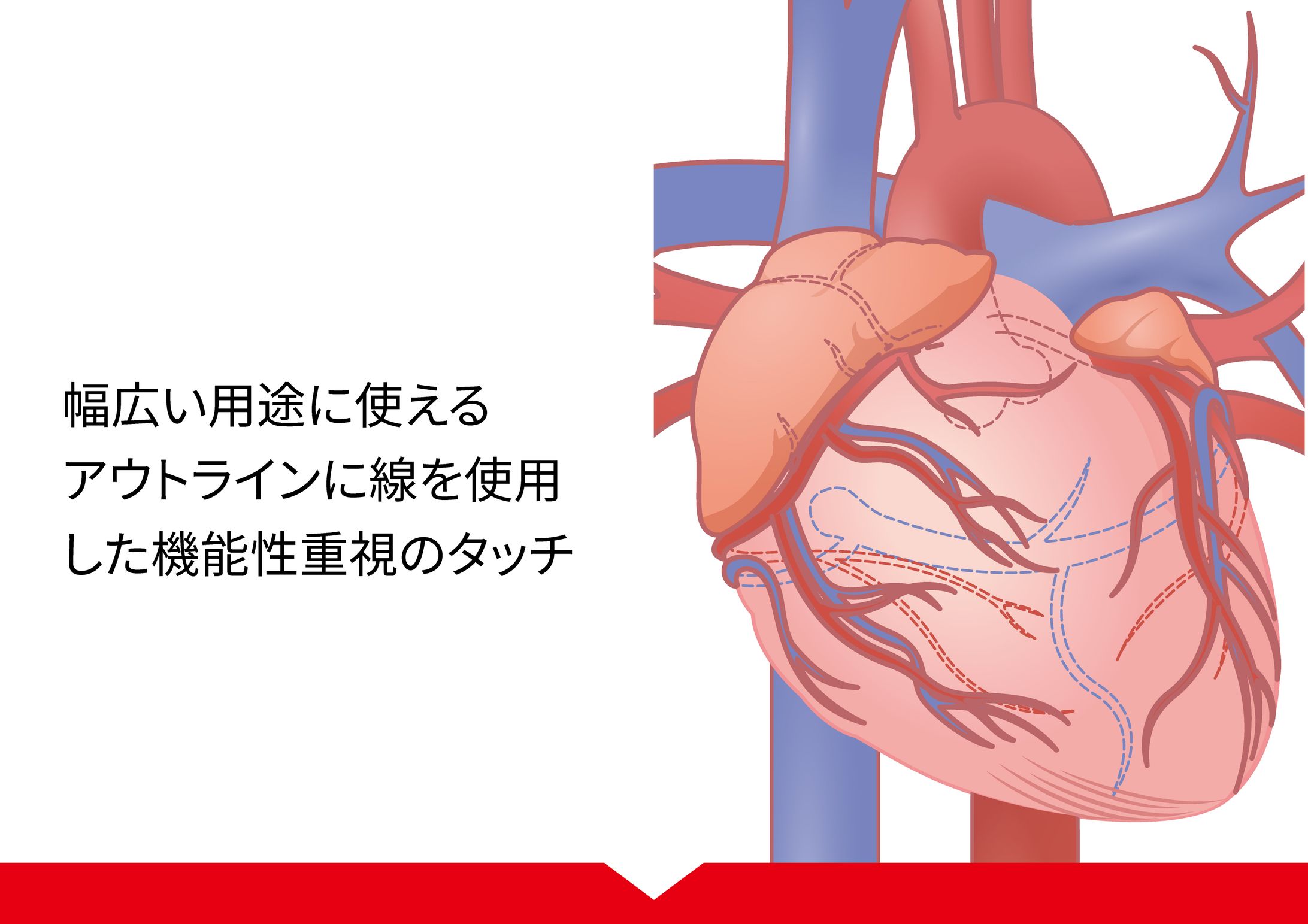 ライン強調タッチ-1