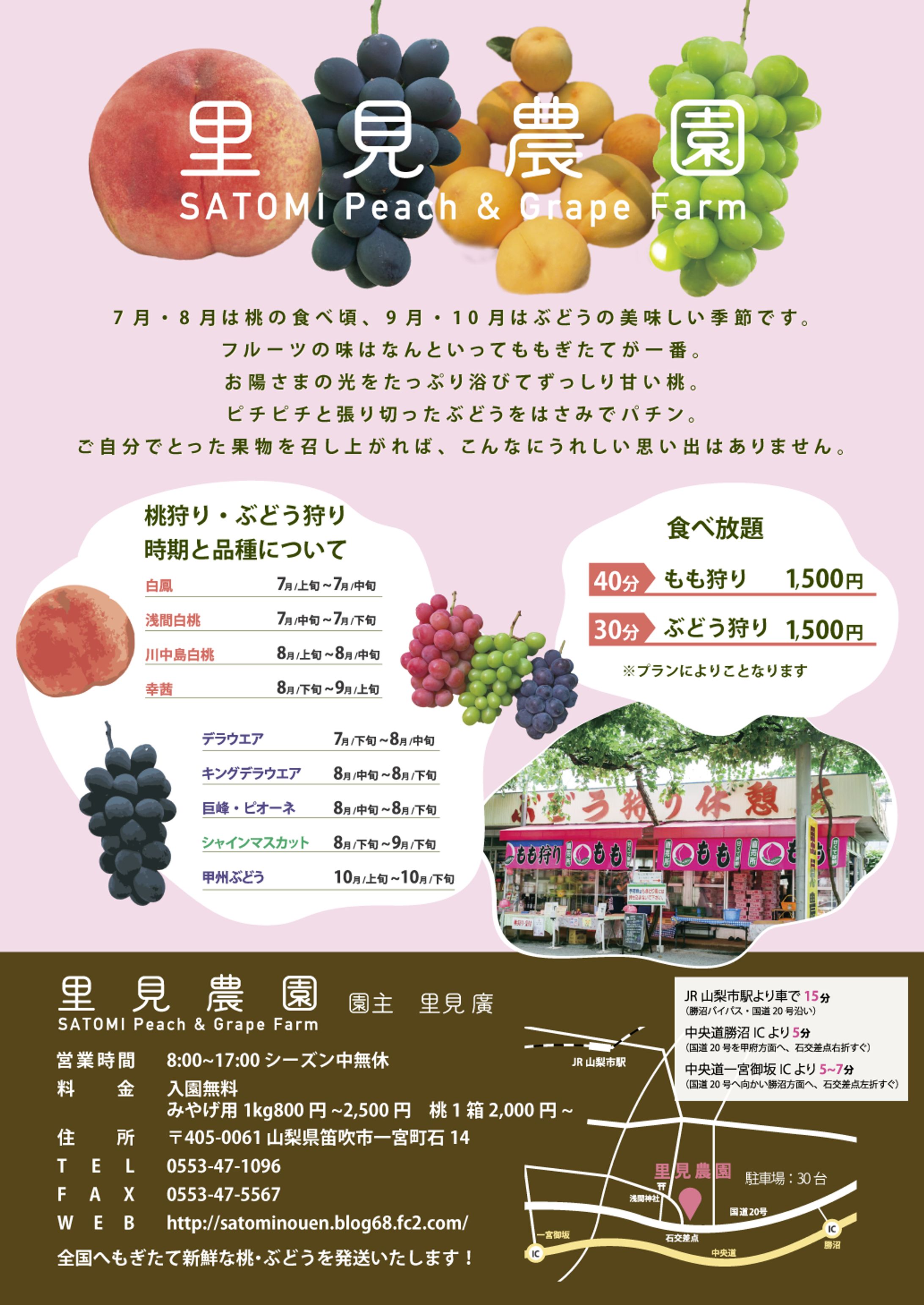里見農園｜観光農園｜チラシ（リニューアル）-1