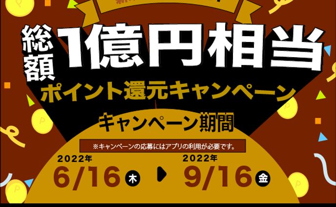 web designer、写真撮影