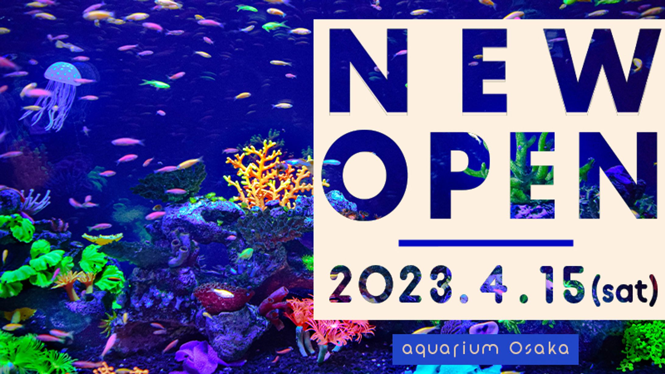 水族館NEWオープンバナー-1
