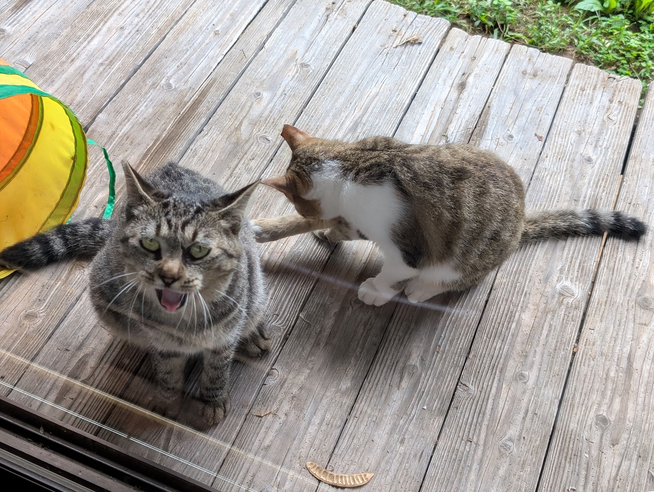 写真サンプル-1