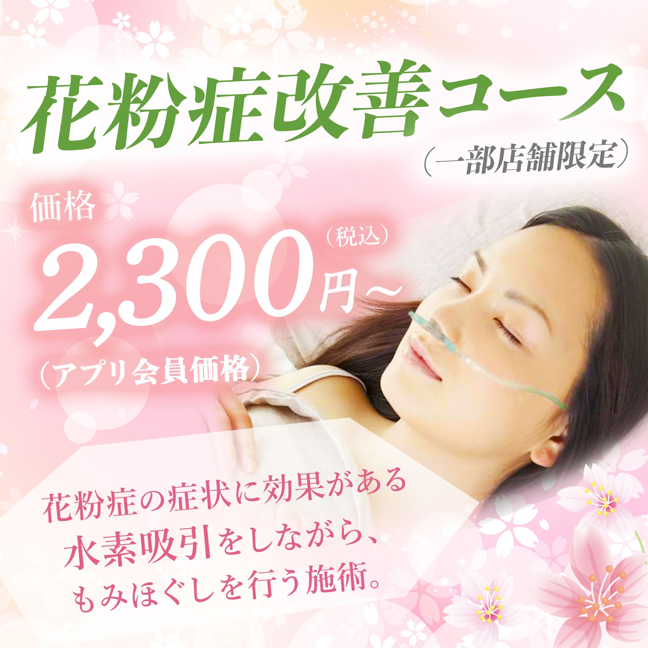 バナー : 花粉症改善コース-1