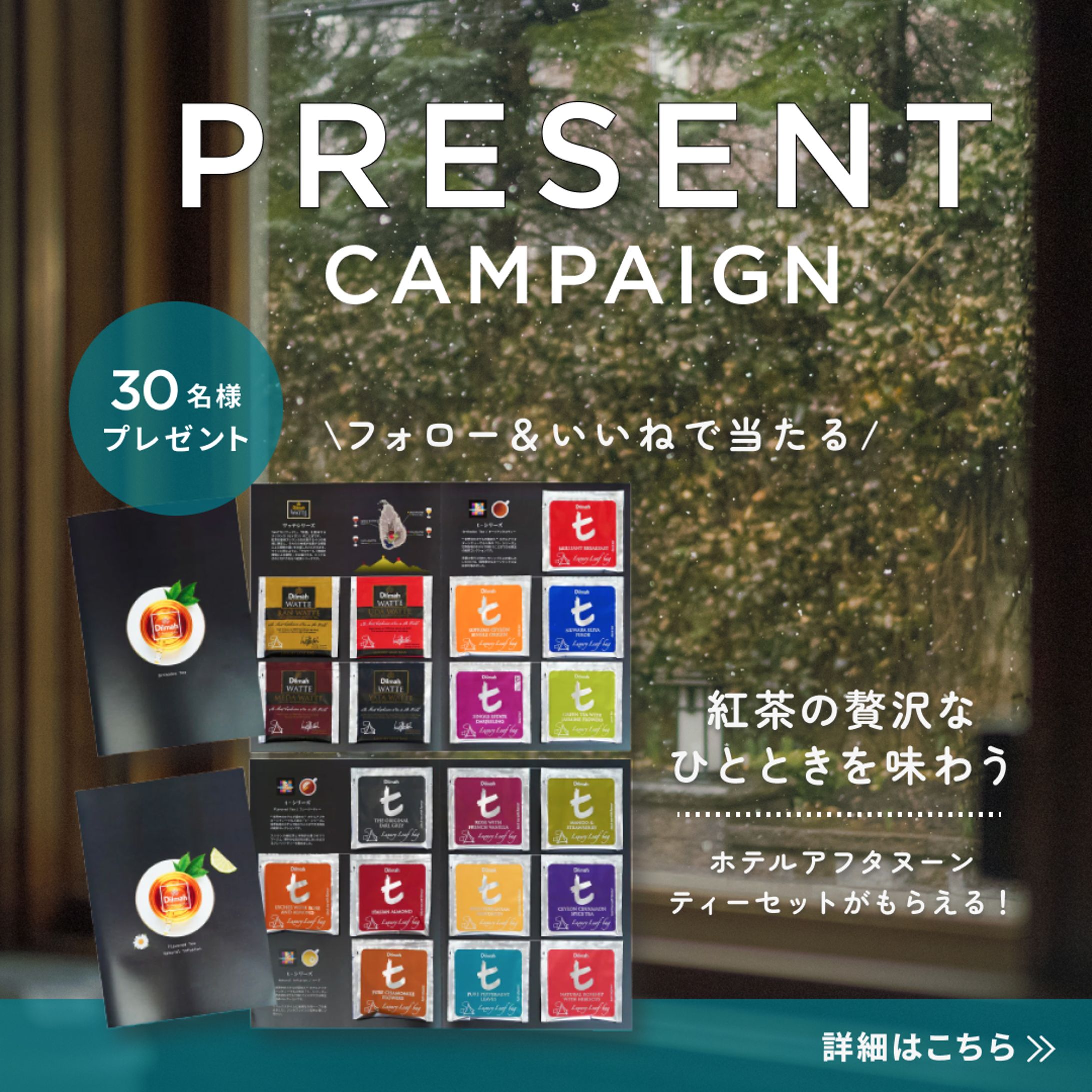 紅茶 プレゼントキャンペーン2種-1