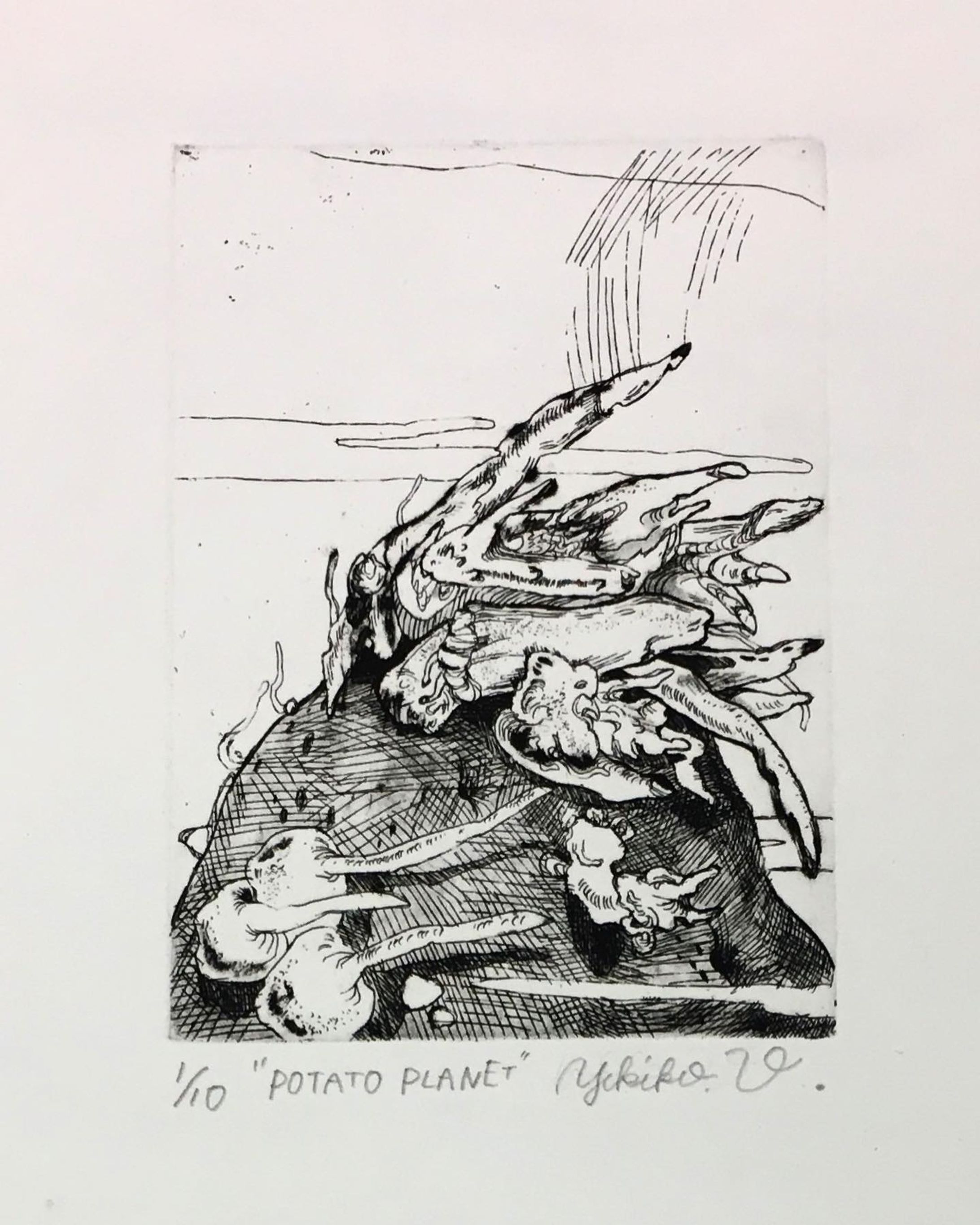 potato planet
11㎝×16㎝
etching
drypoint
aquatint

芽が出たジャガイモを描きました🥔

#銅版画 
#ドローイング-1