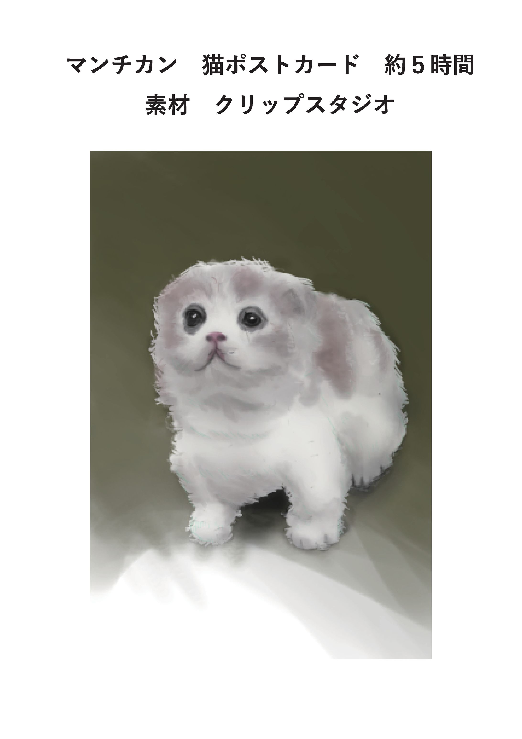 マンチカン模写-1