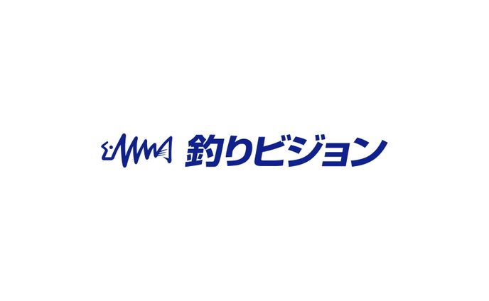 Fishing Vision Co., Ltd.