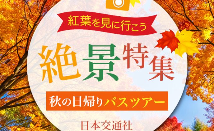web用バナー、紅葉