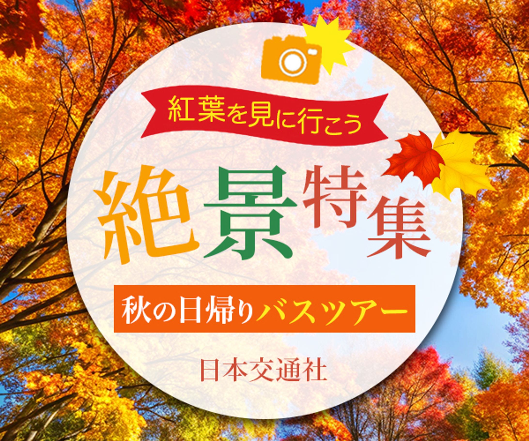 バナー：紅葉-1