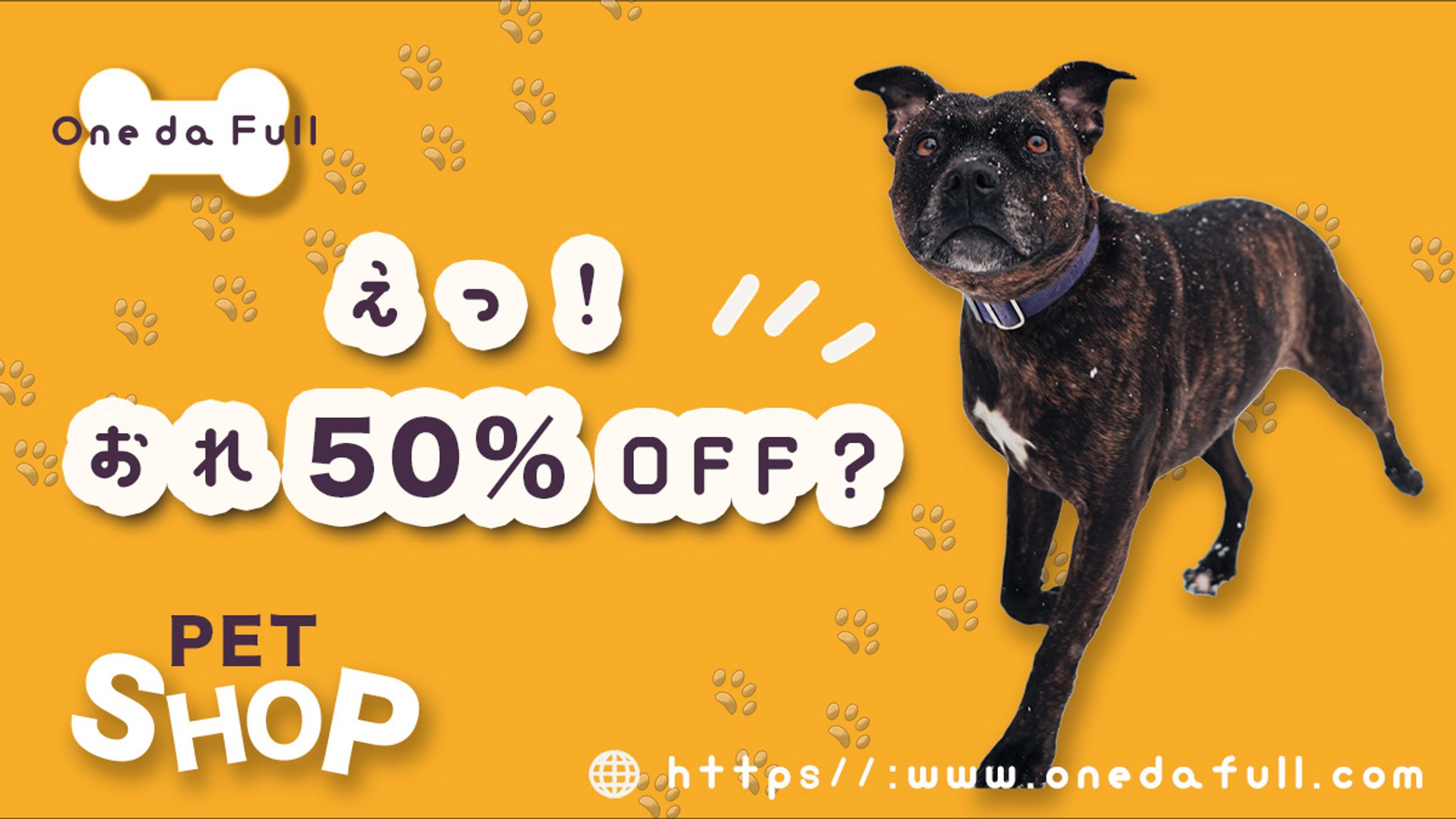 PETSHOP_OnedaFull-1
