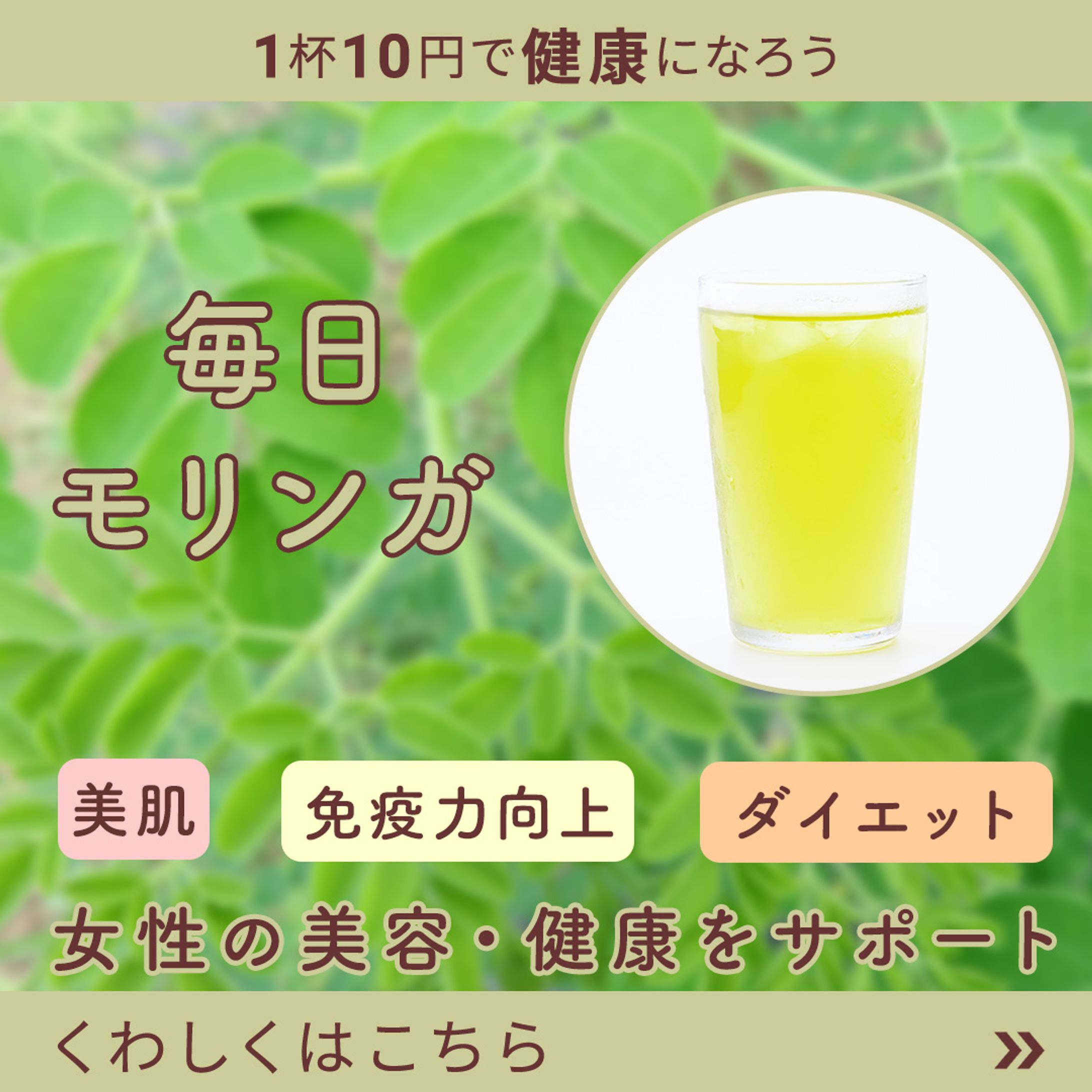 モリンガ茶宣伝バナー-1