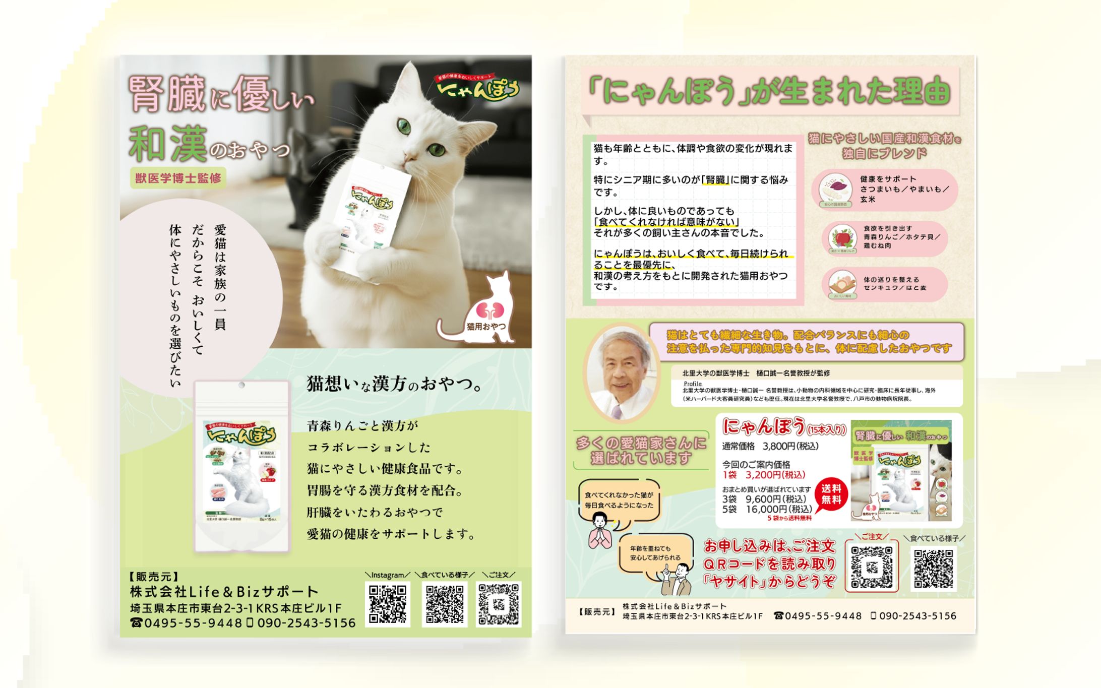 猫の漢方おやつ「にゃんぽう」チラシ-1