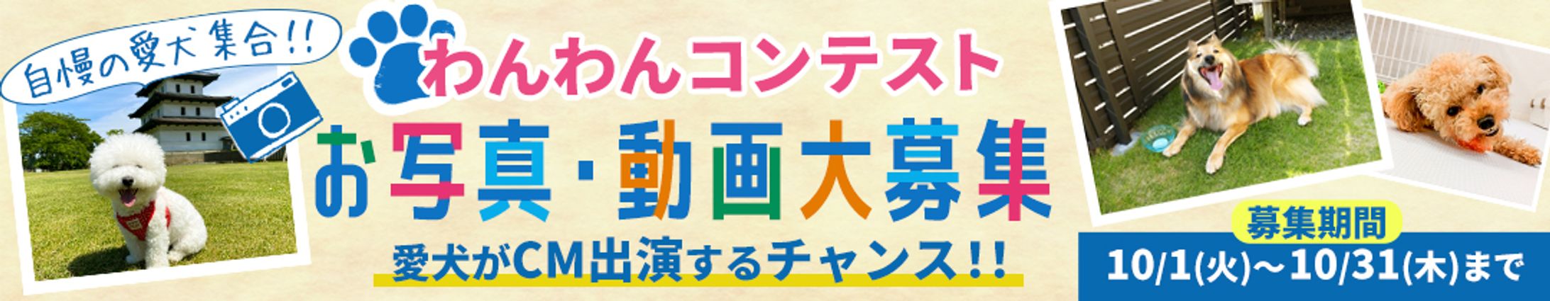 愛犬コンテストバナー-1