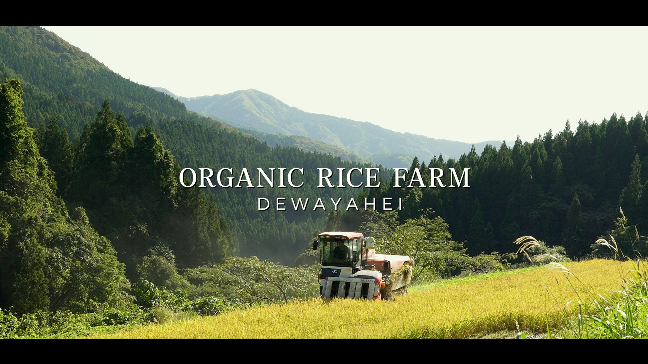 【PV】株式会社出羽弥兵衛様「大自然と共存しながら有機米を作る」 -1