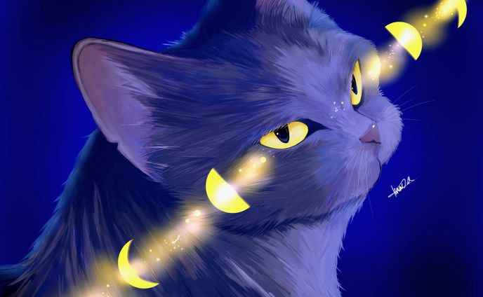 Moon Eye.