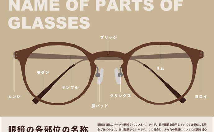 眼鏡　インフォグラフィック