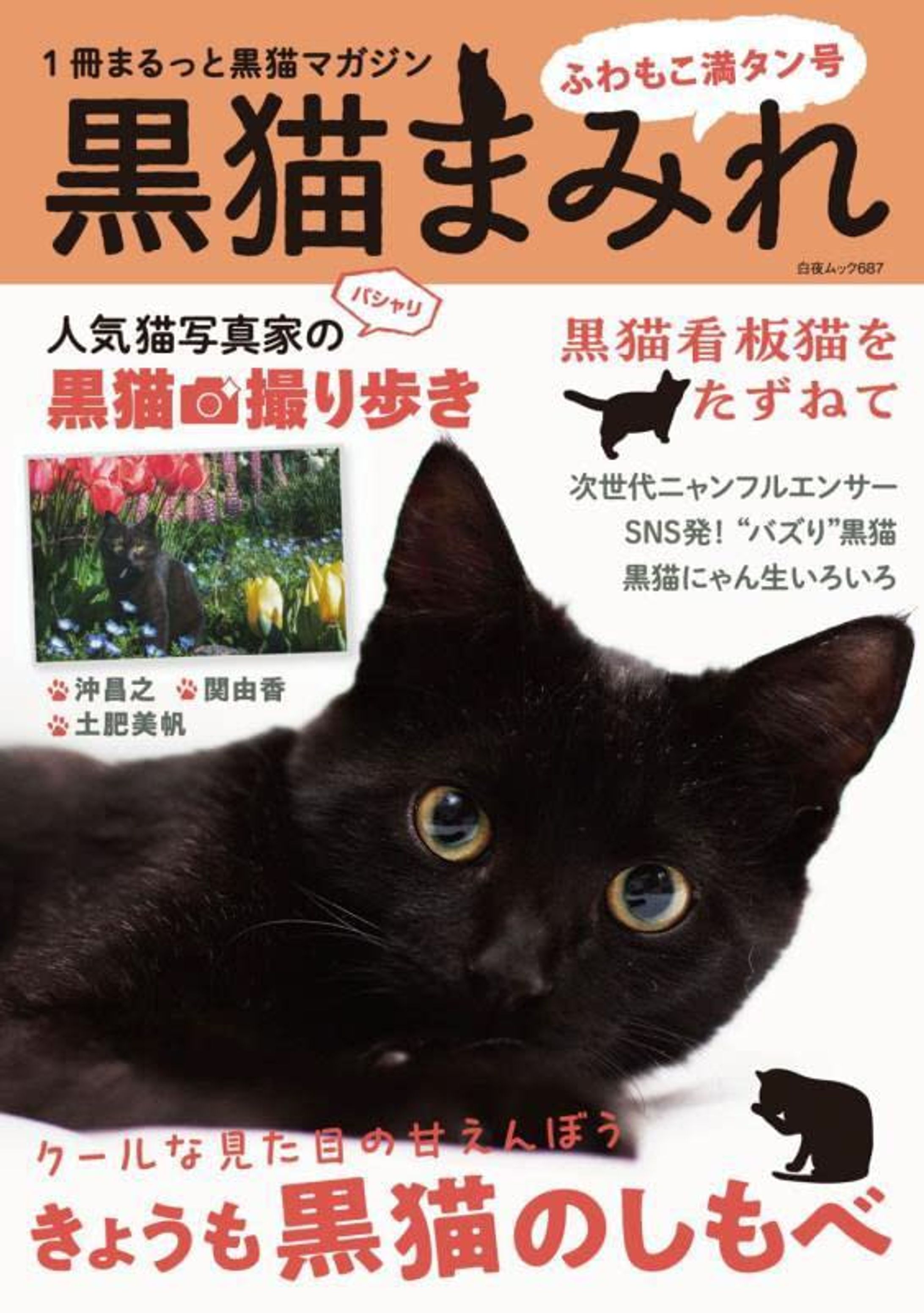 Magazine：Black Cat Mook / 黒猫まみれ-1