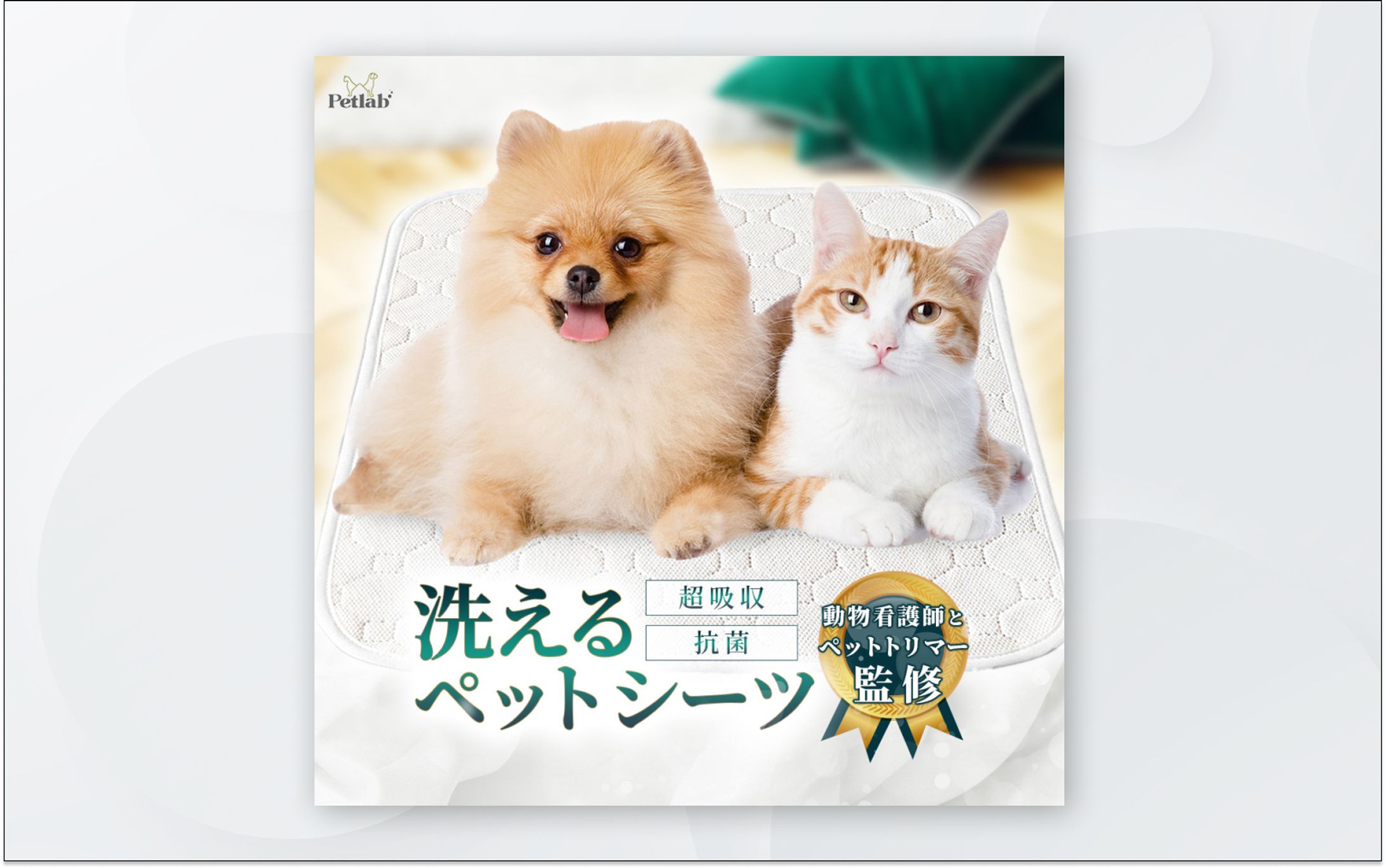 バナー｜Amazon 洗えるペットシーツ-1
