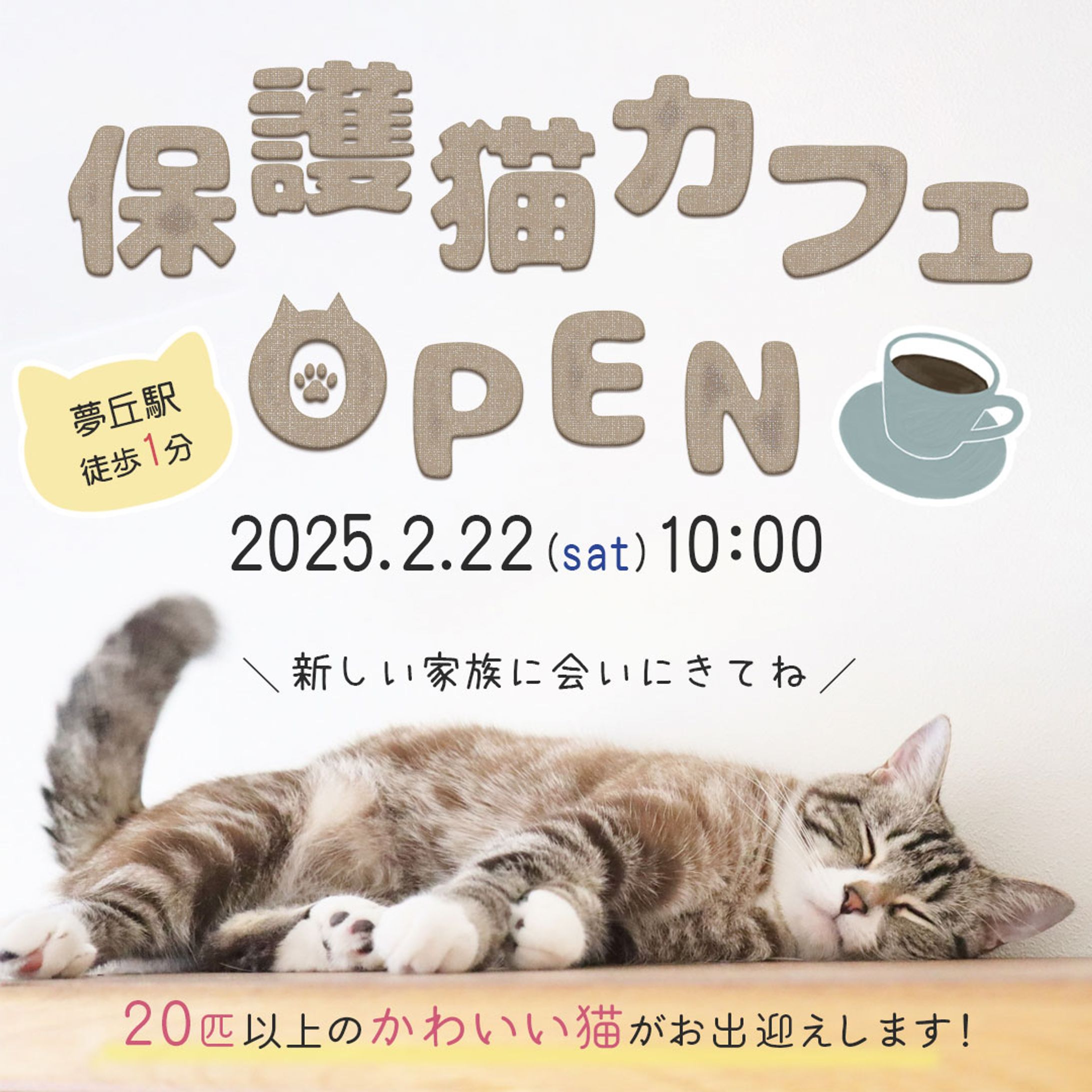 保護猫カフェ｜OPEN告知バナー-1