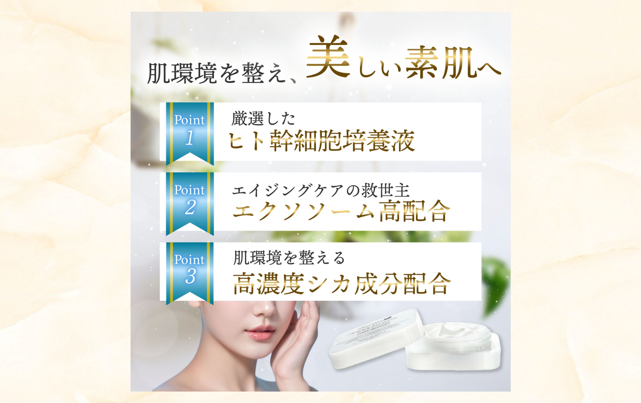 【 バナー 】　楽天商品説明-1