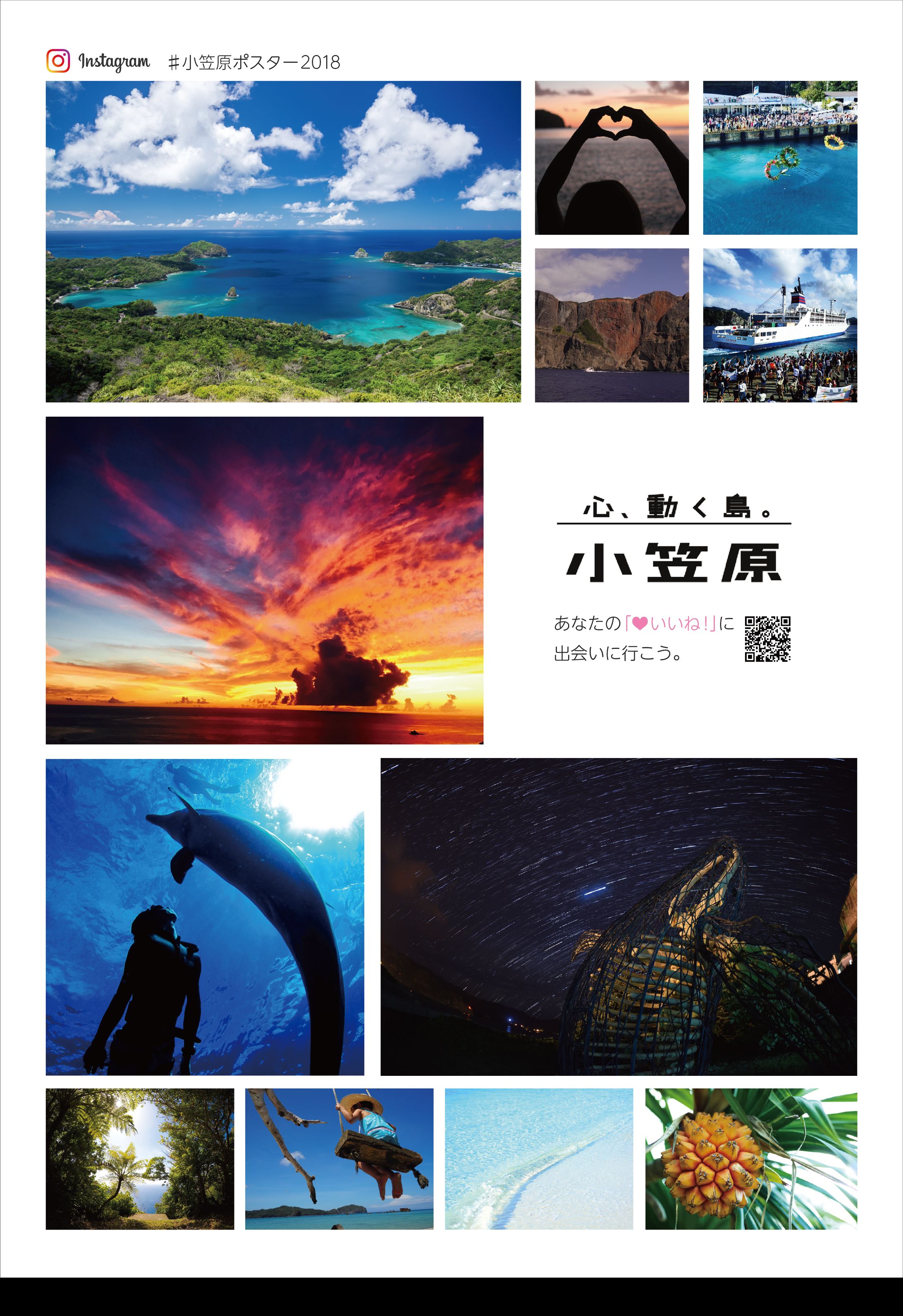 Graphic - 写真コンテストポスター-1