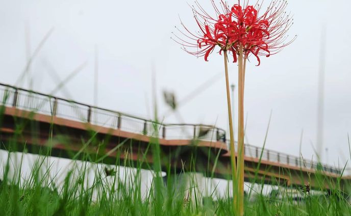 photography、風景