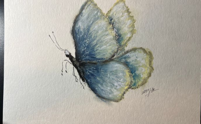 sad butterfly 3