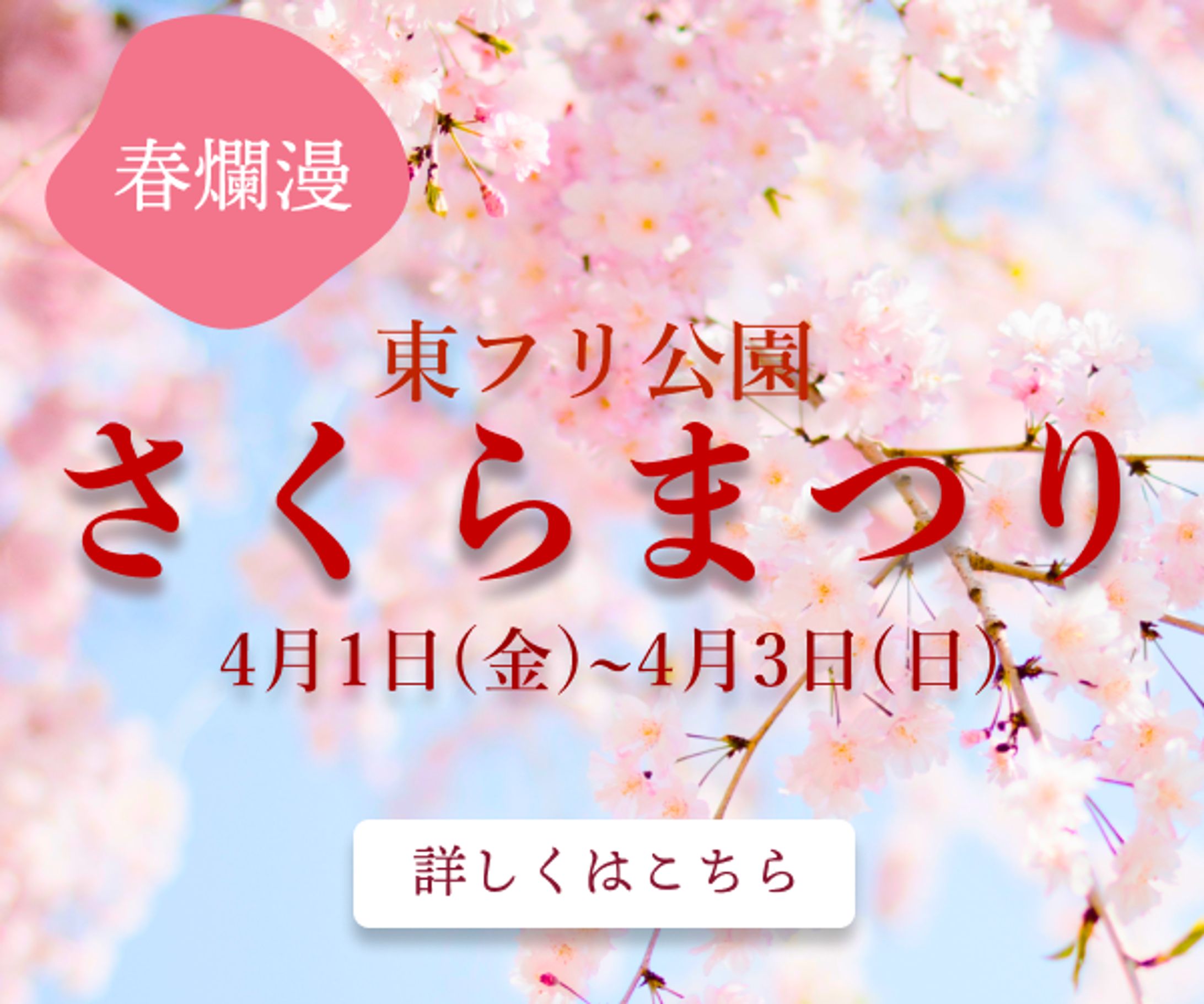 さくらまつり　バナー-1
