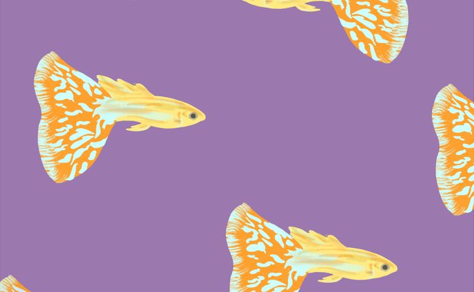 イラスト