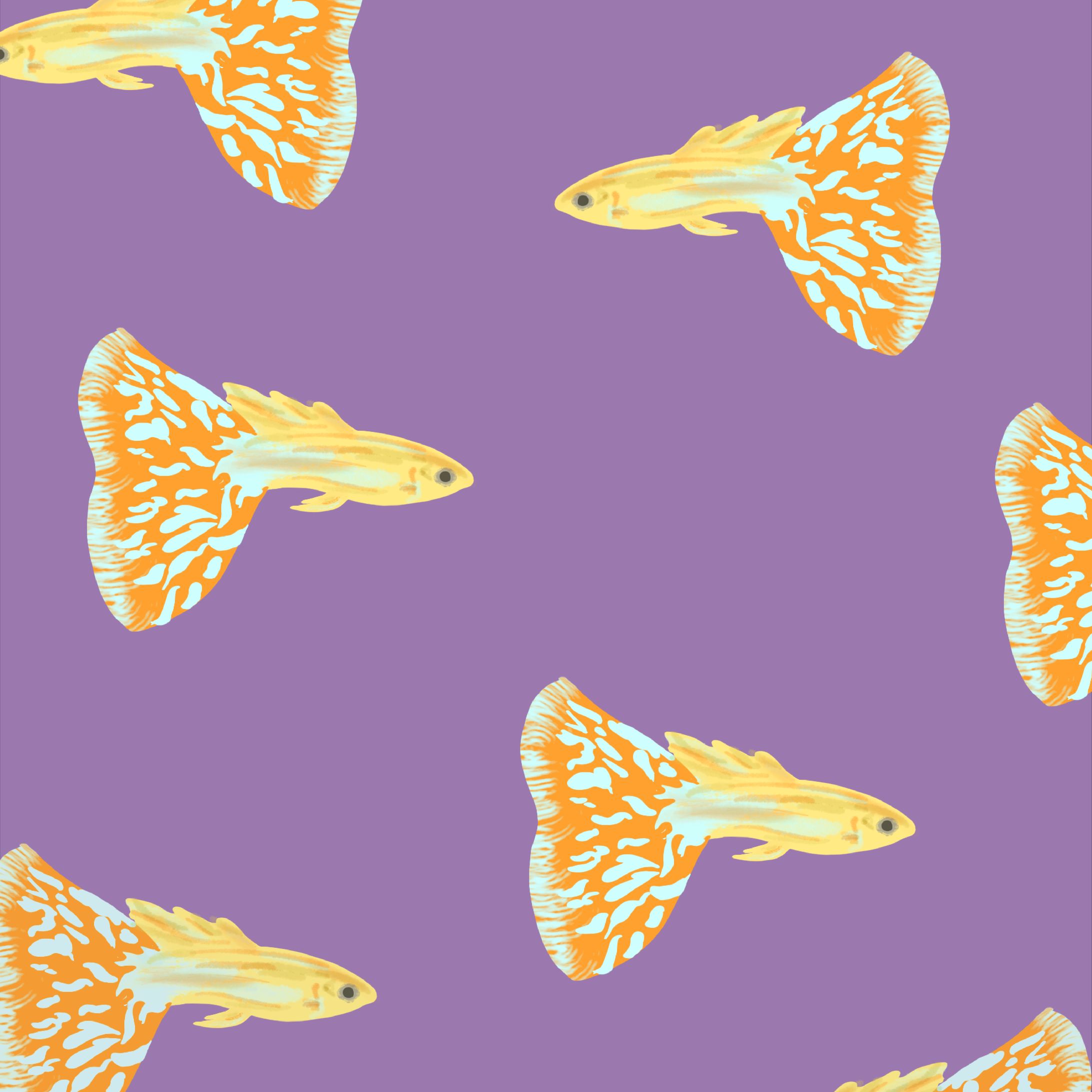 イラスト-1