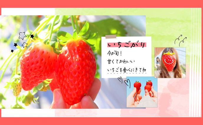 宣伝用　サムネ