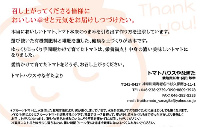 リーフレット
