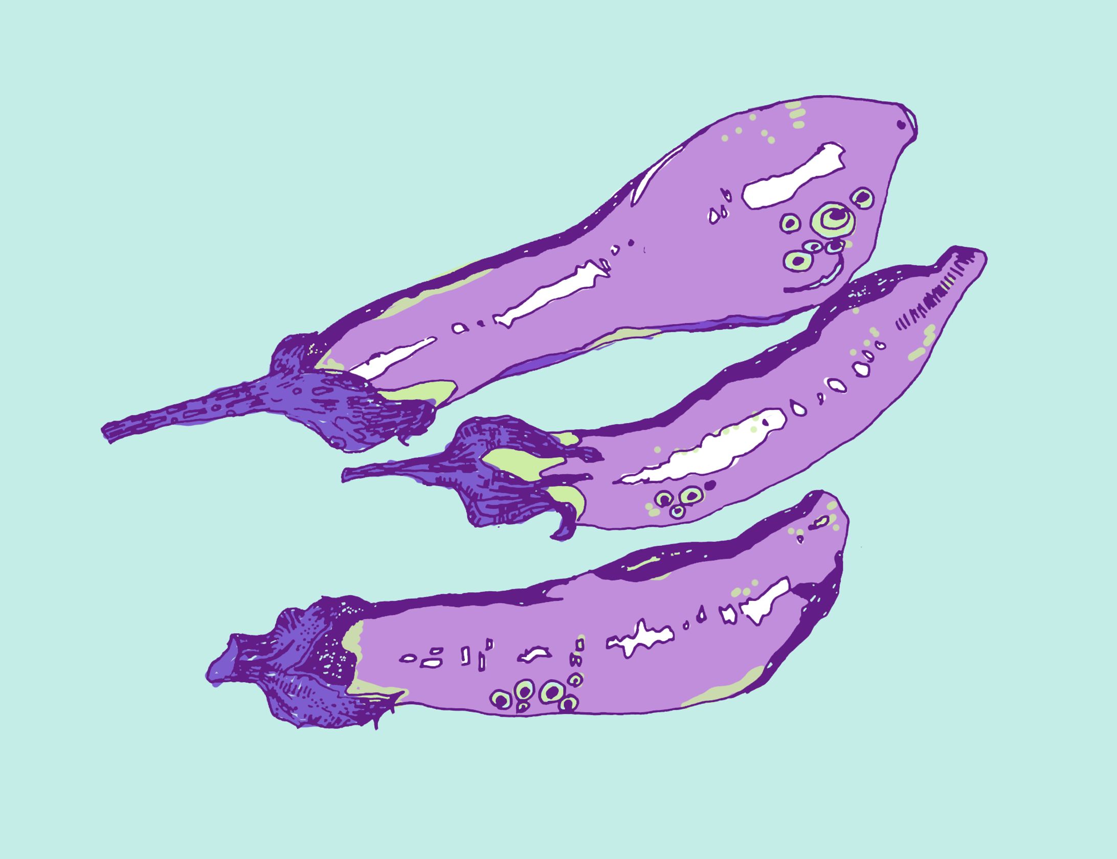 茄子-1