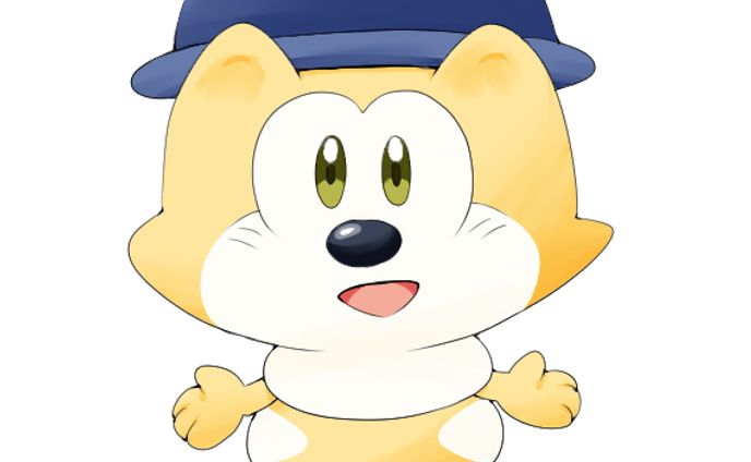 イラストレーター、デザイナー、文章