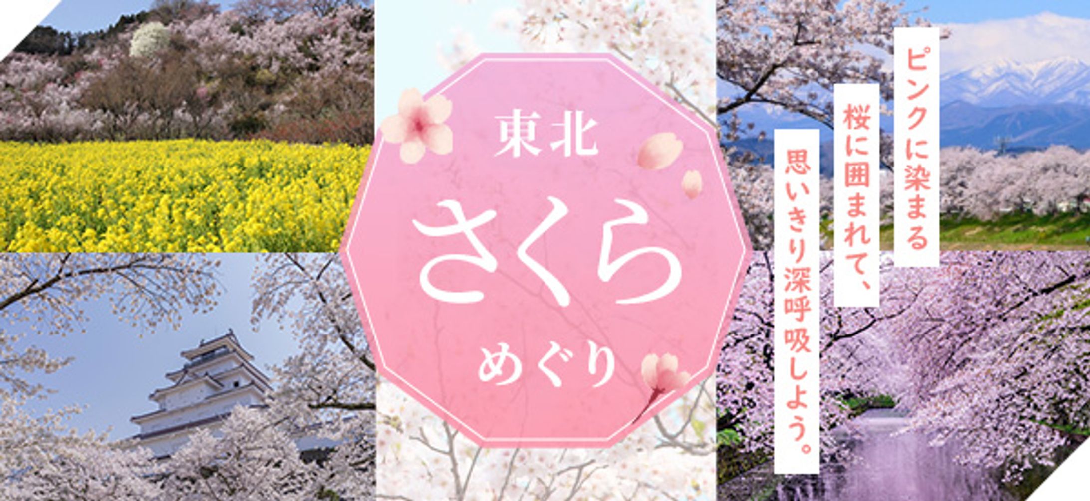 東北桜めぐり　バナー-1