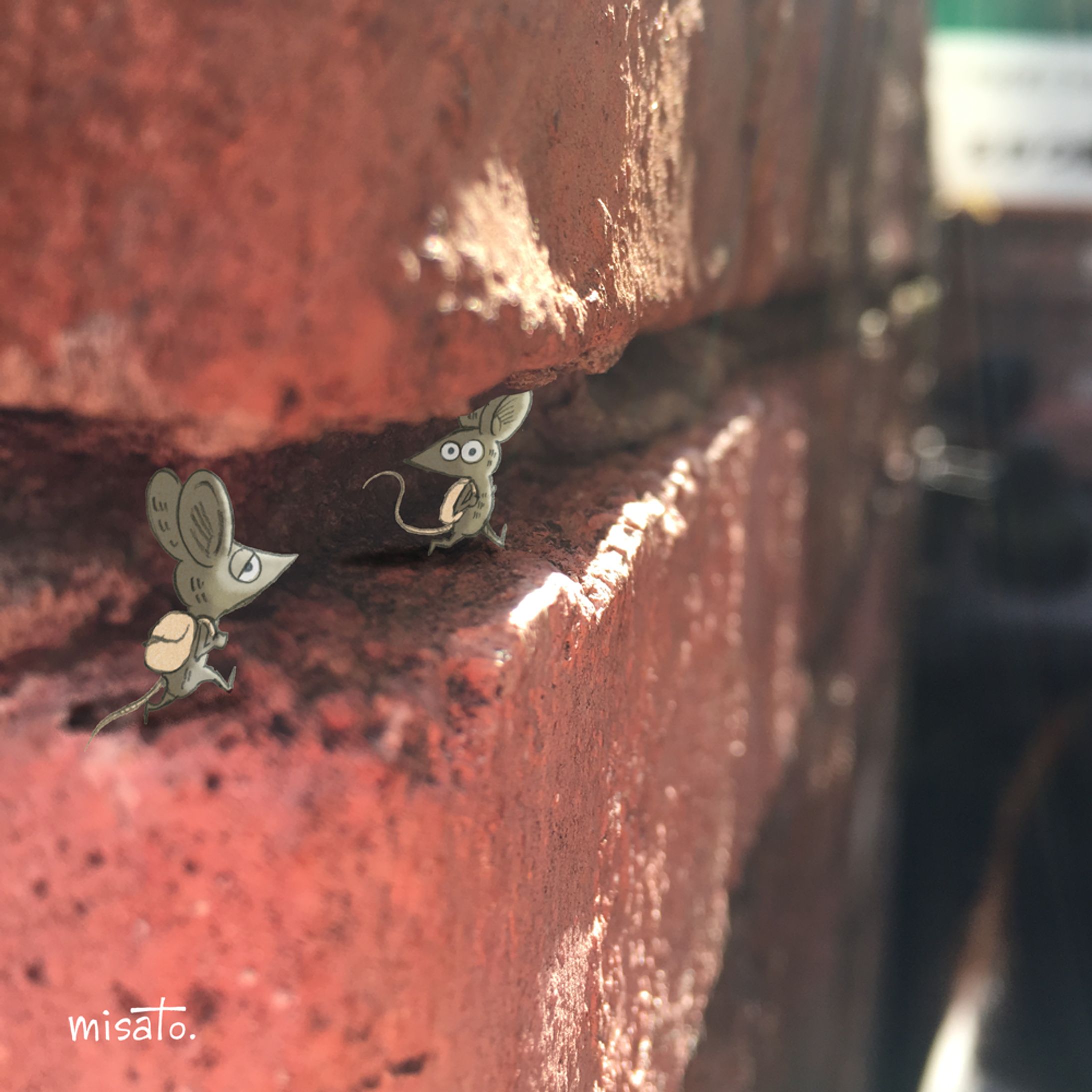 レンガの隙間って、冒険が始まりそうな感じがする-1